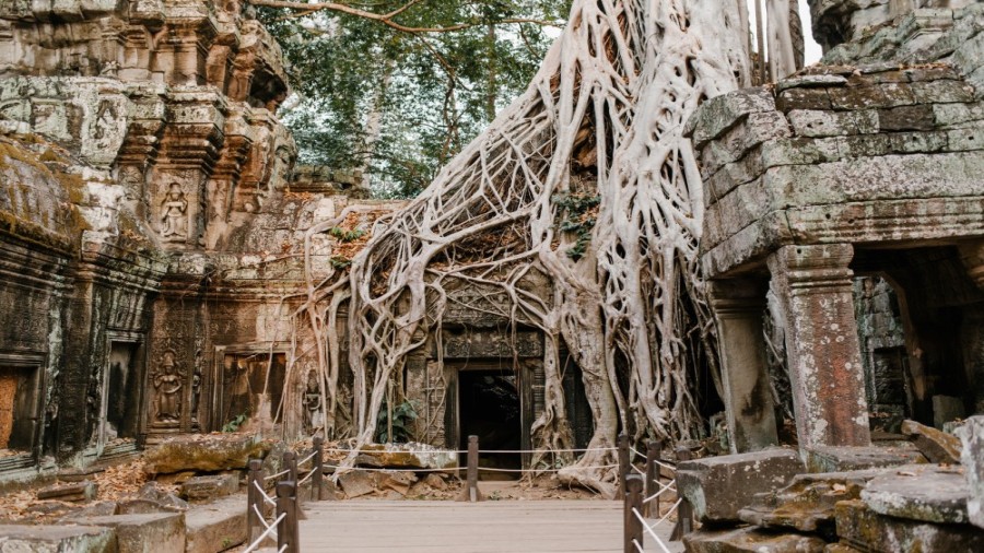 ANGKOR