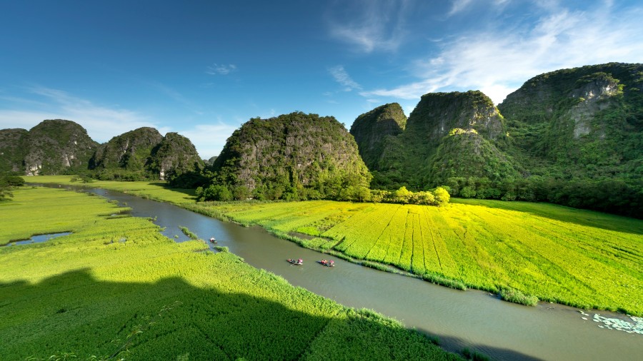 TAM COC