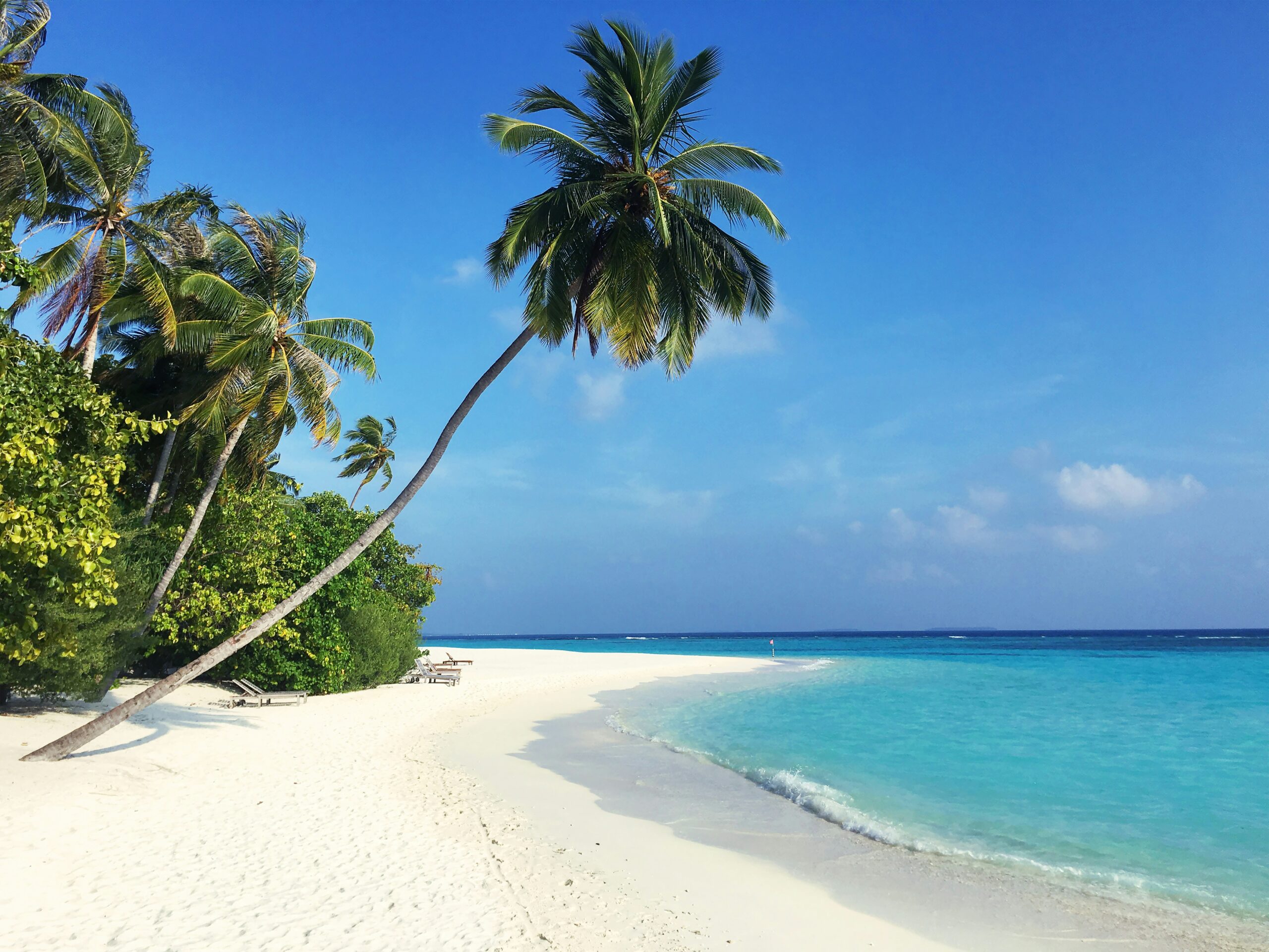 Viaggio di nozze in Asia: Sri Lanka e Maldive, tra scoperta e relax