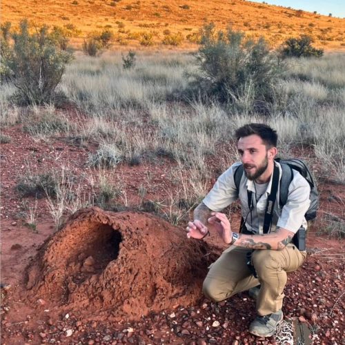 photo_5870688053154745249_y